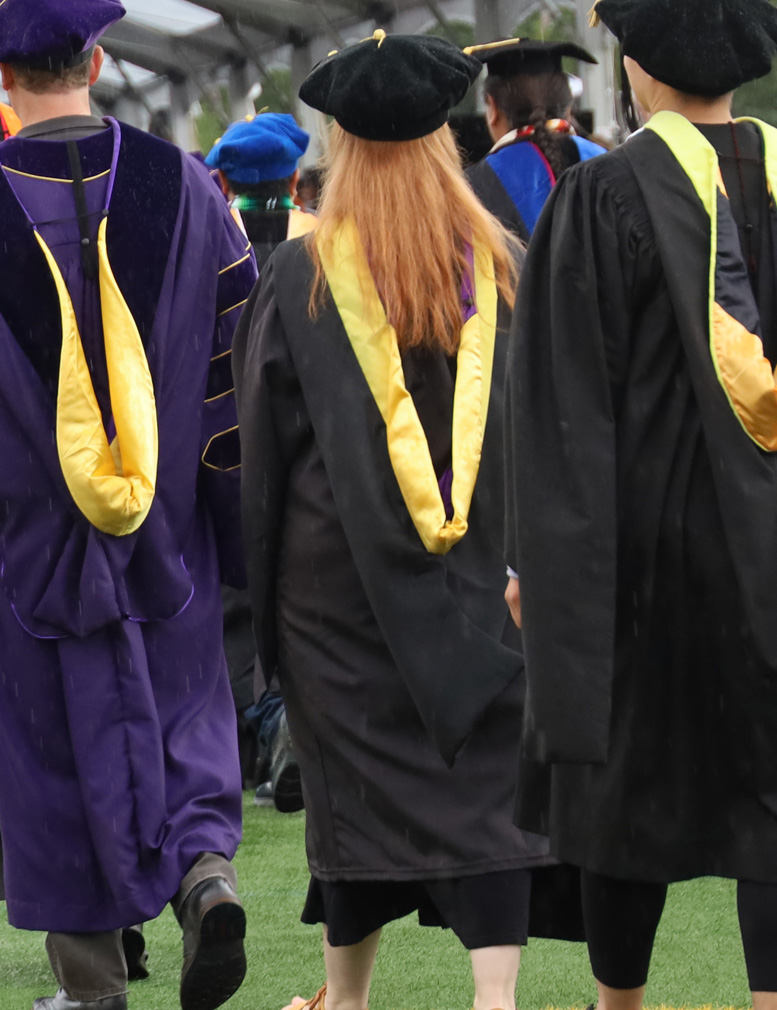 Faculty in Graduation regalia