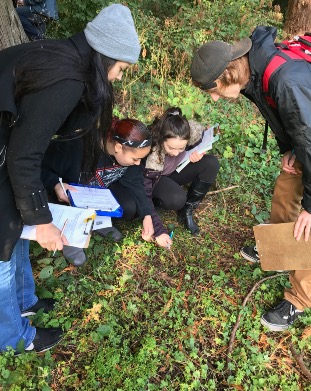 Student Life Active Learning