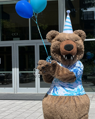 Community Engagement Officers