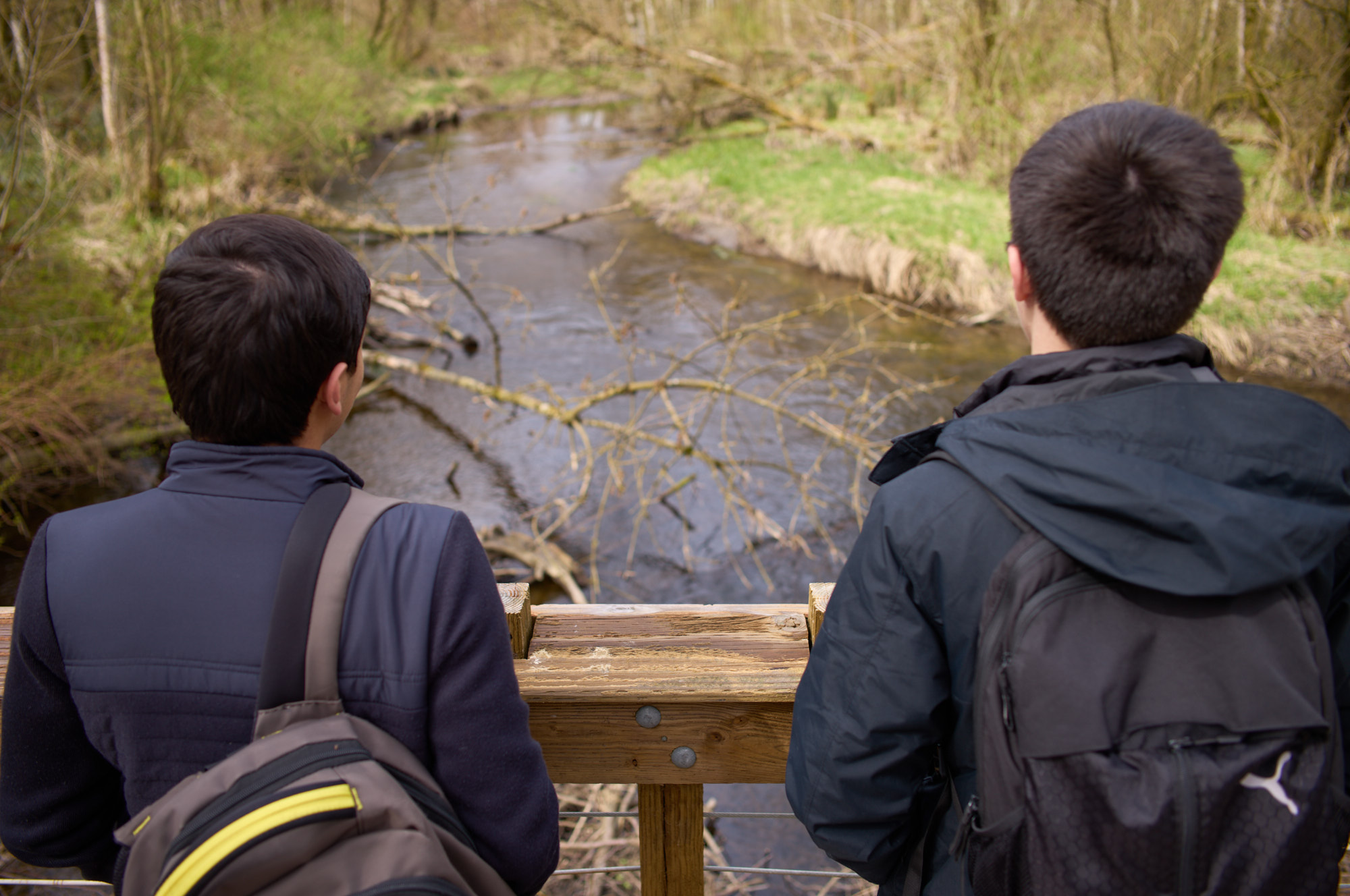 Sustainability Students contemplating and looking out, reflecting on concepts of environmental education and sustainability.